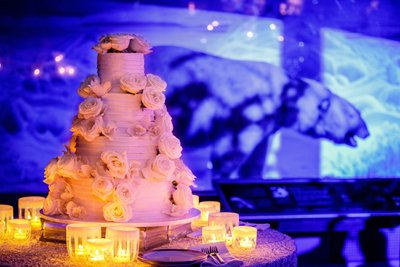 American Museum Of Natural History Wedding 1
