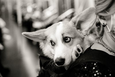 New York City Engagement Session