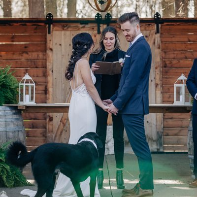 Bride and grooms dog was best man at club roma wedding