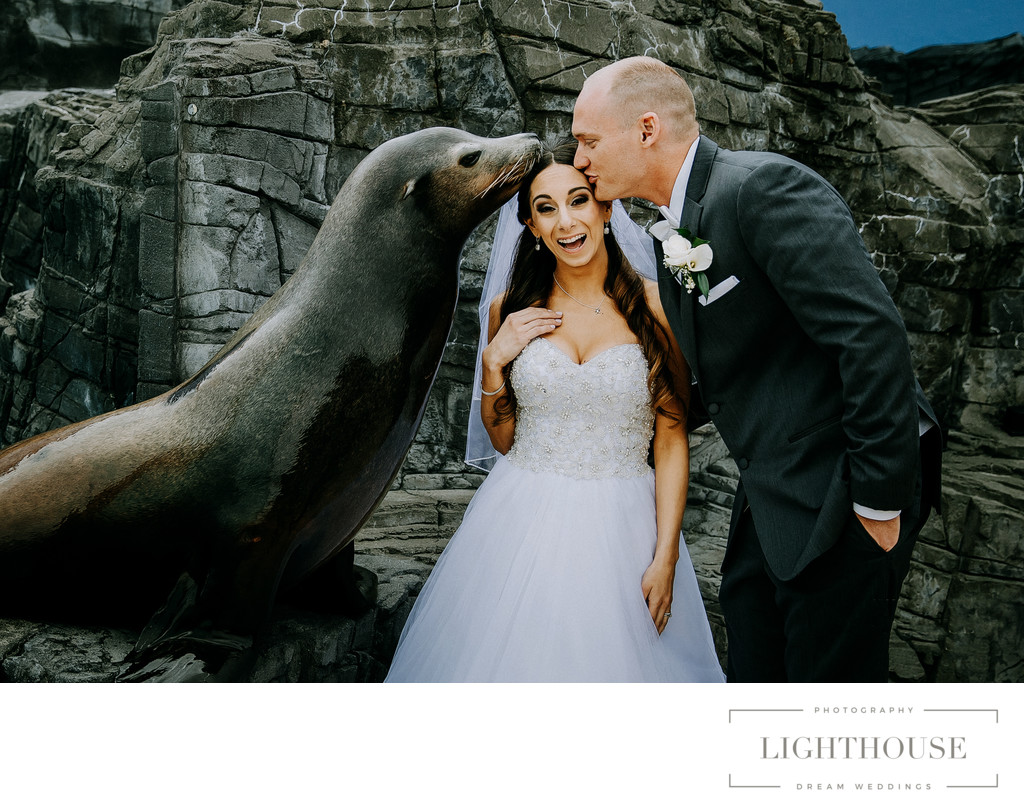 long island aquarium best wedding photos
