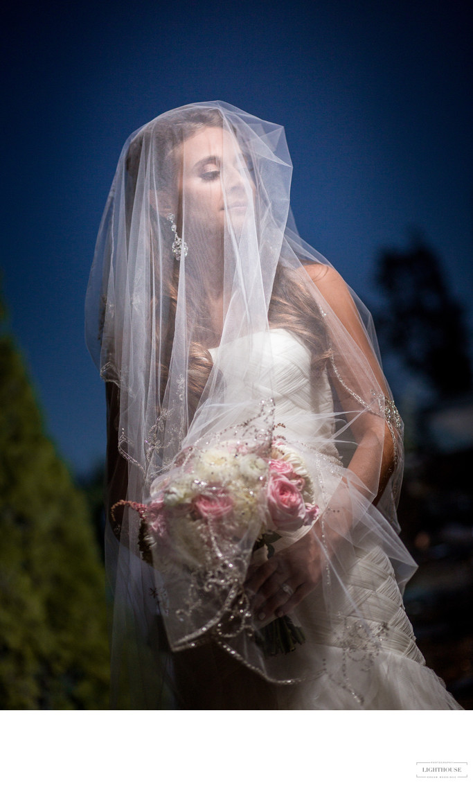 Kennedy Pearl Embellished Wedding Veil