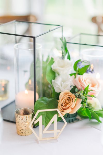 camp hale wedding reception