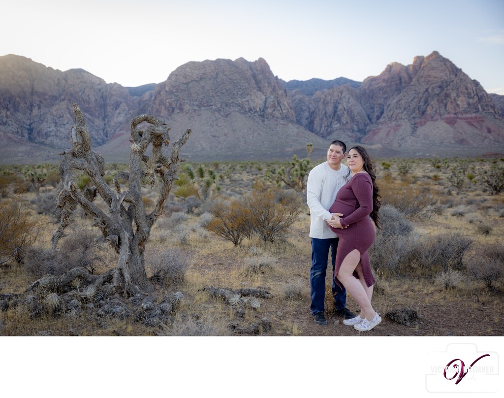 Las Vegas Maternity photography Red Rock Desert