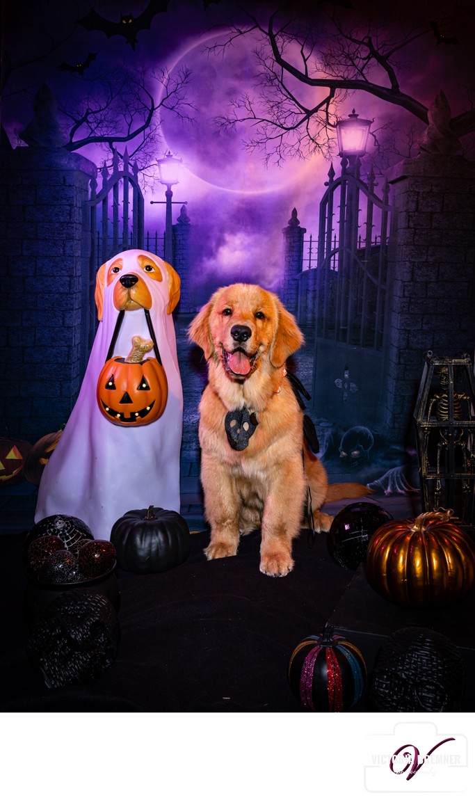 Las Vegas Pet Photography Halloween Portrait with dog