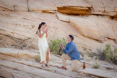 Surprise Proposal at Valley Of Fire
