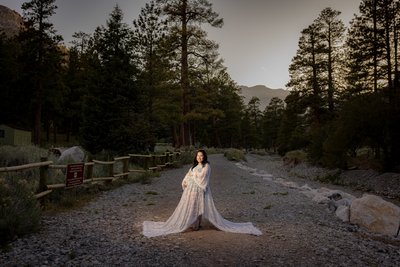 Maternity Photo Session Mt Charleston 