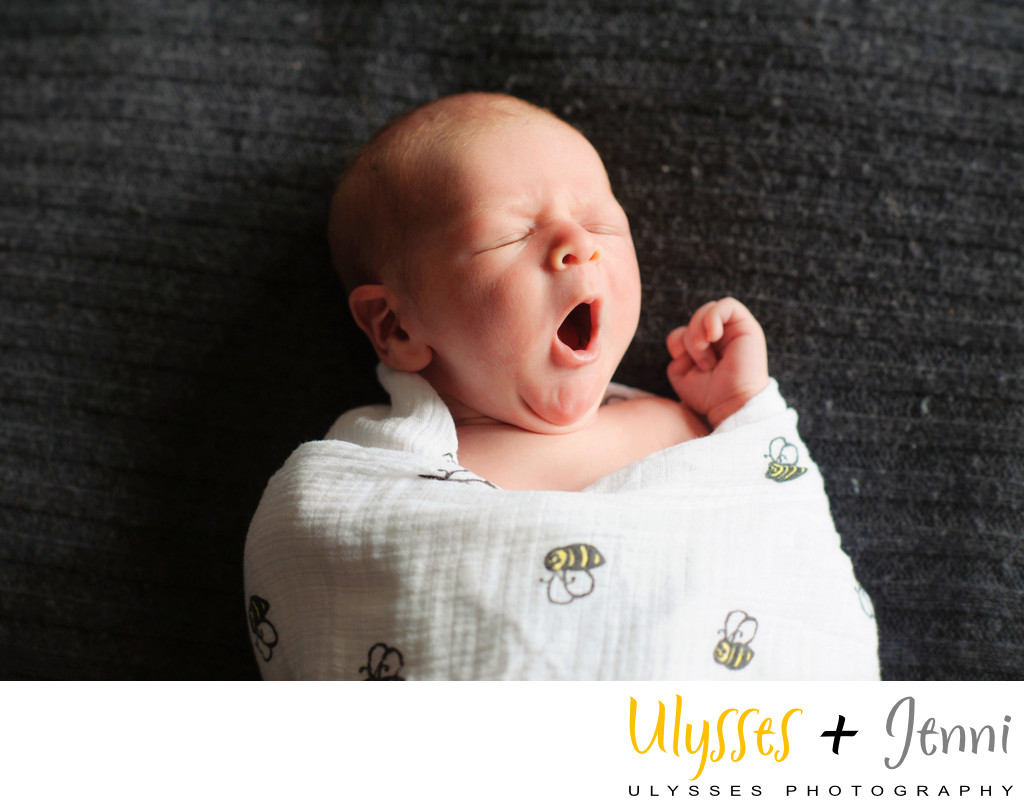 Best Newborn Photographer - Ulysses Photography