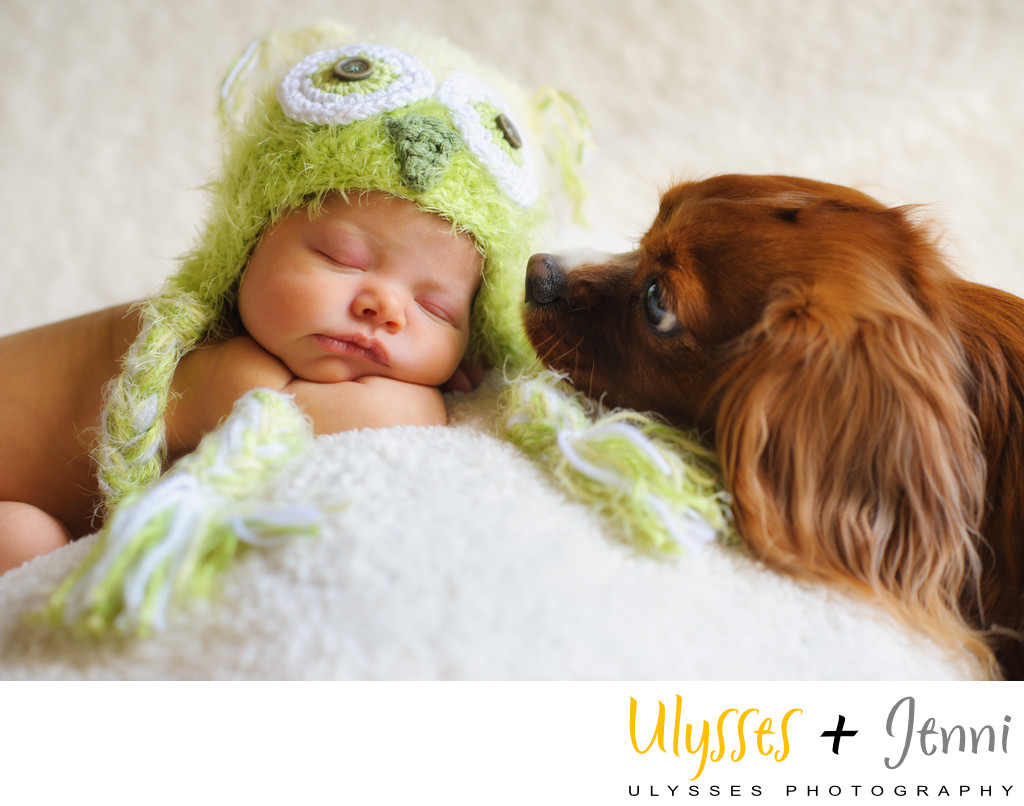 Best Newborn Photos with Dogs in the Hudson Valley