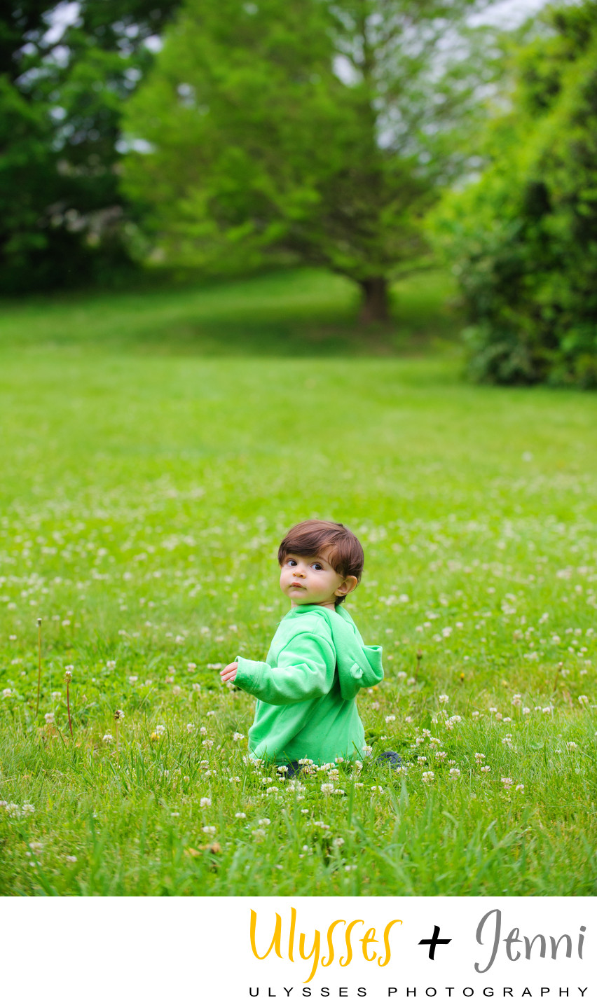 Little Boy Portrait In A Field of Green