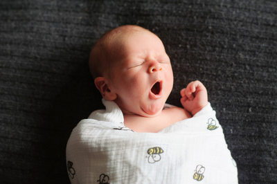Best Newborn Photographer - Ulysses Photography