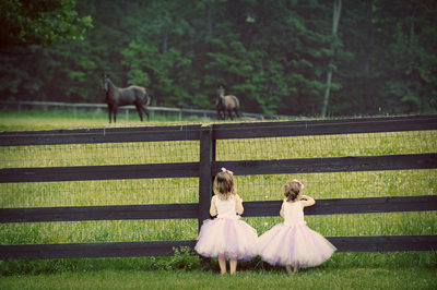Girls in Pink Tutus on Horse Farm