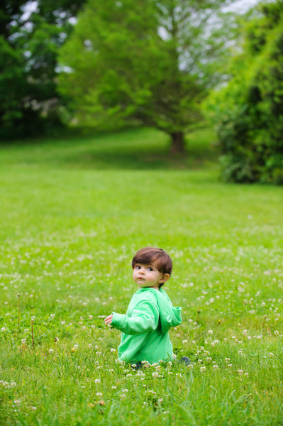 Little Boy Portrait In A Field of Green