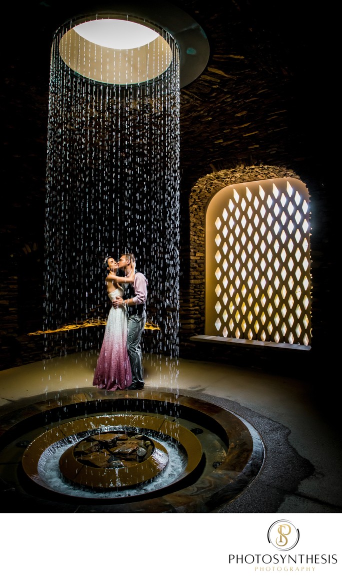 Longwood Gardens Wedding Photo