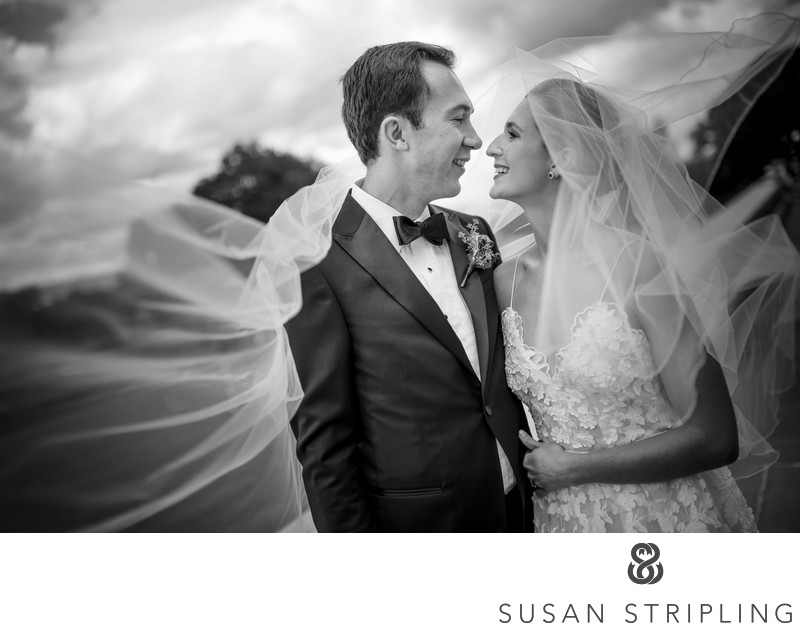 Grounds for Sculpture Wedding