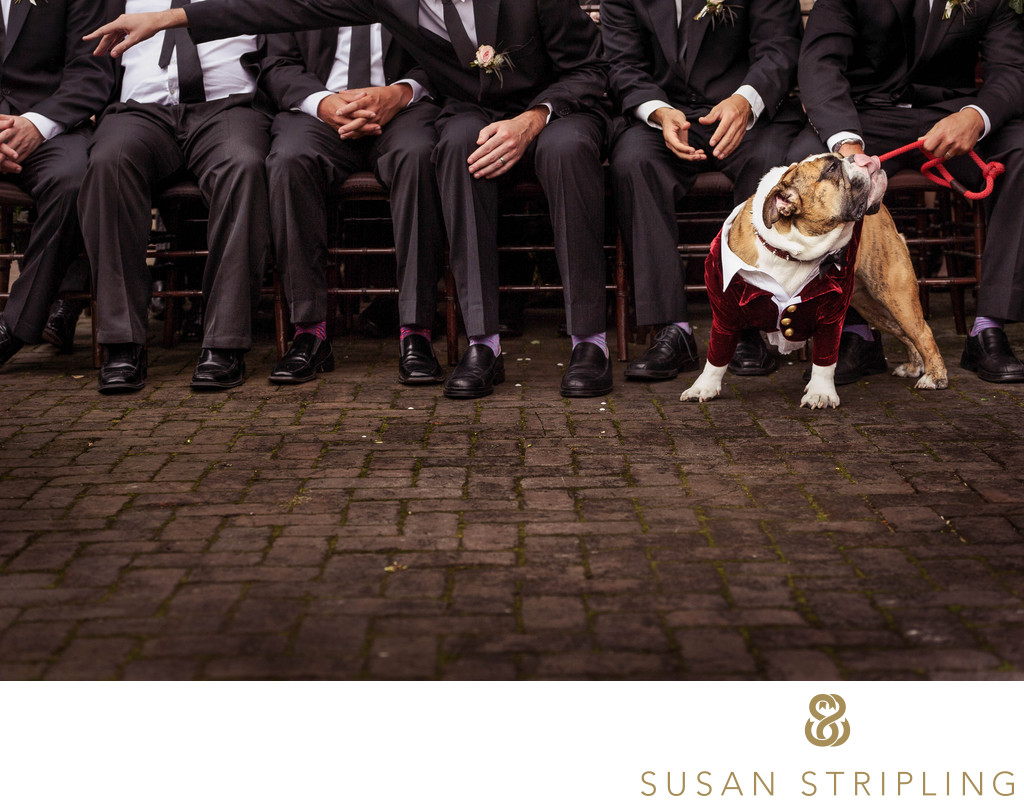 Bowery Hotel Wedding Photographers