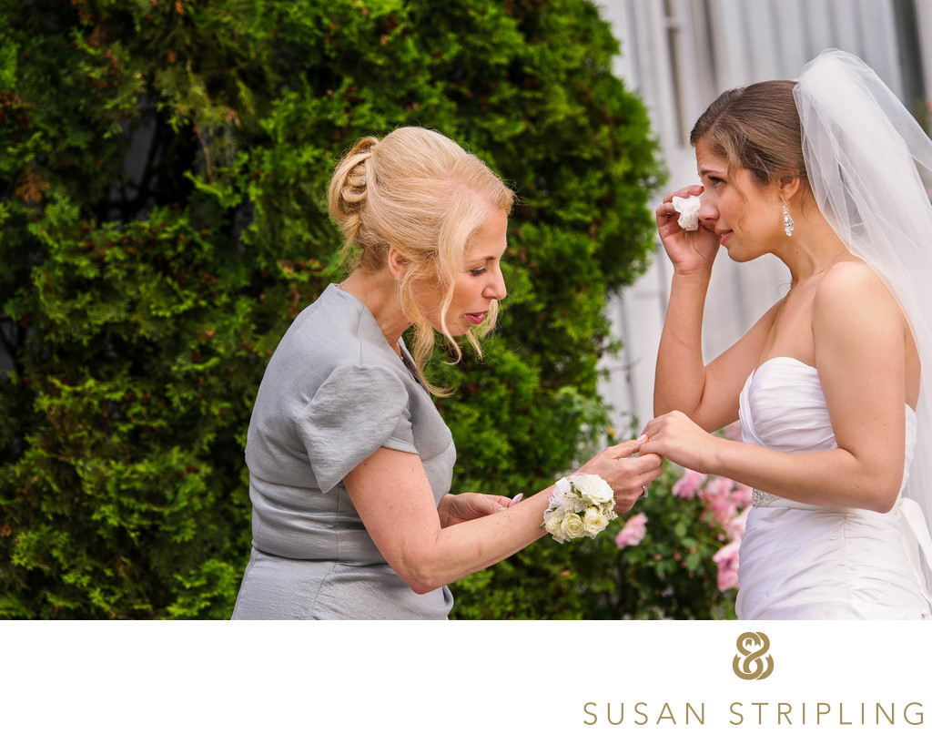 Wedding Photographers at The Barn at Wesleyan Hills