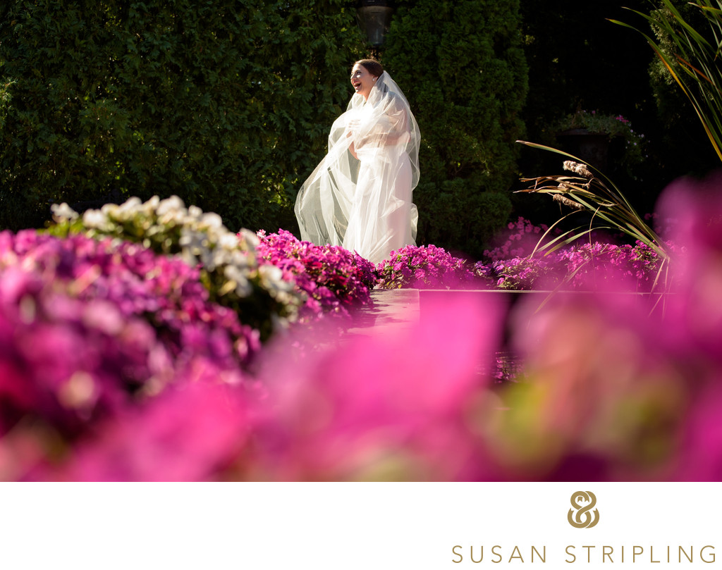 Park Savoy NJ Wedding Cost