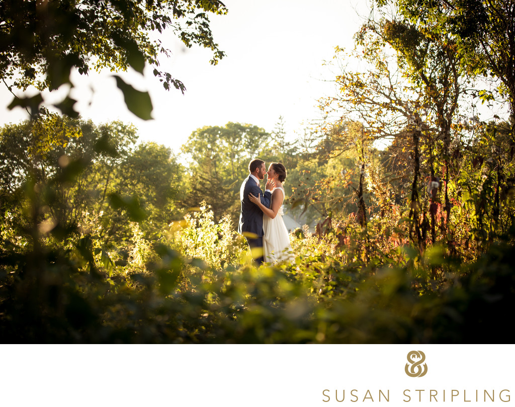 Wedding Pictures the Hickories