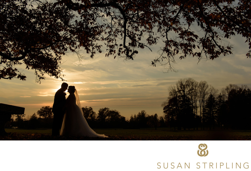 Spring Mill Manor Wedding Photos Ivyland