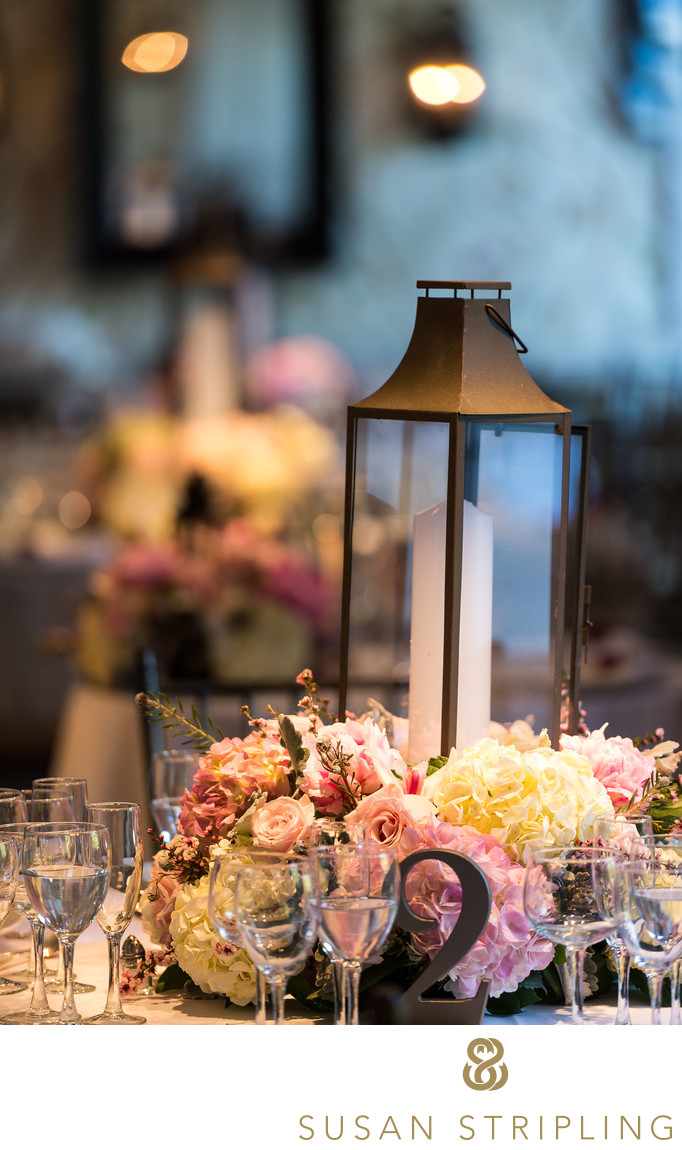 New York Garden Botanical Wedding New York Garden Botanical Wedding