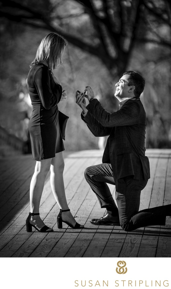 Best Proposal Photographer NYC
