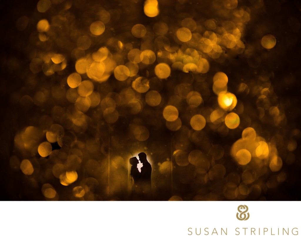 Double Exposure wedding gold sparkle photo
