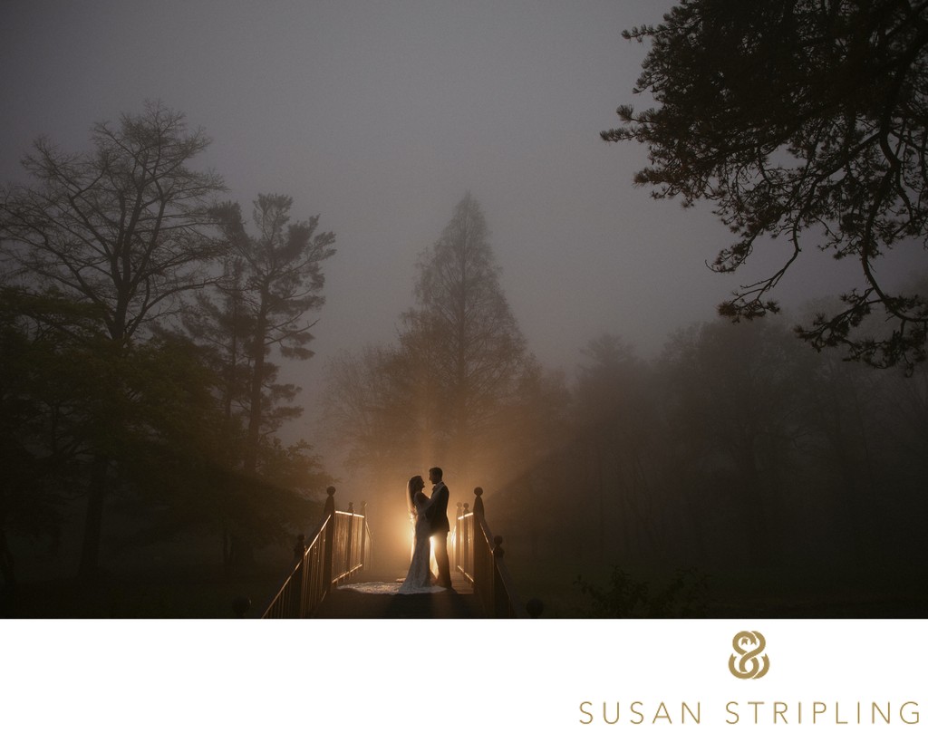 best wedding silhouette in the fog