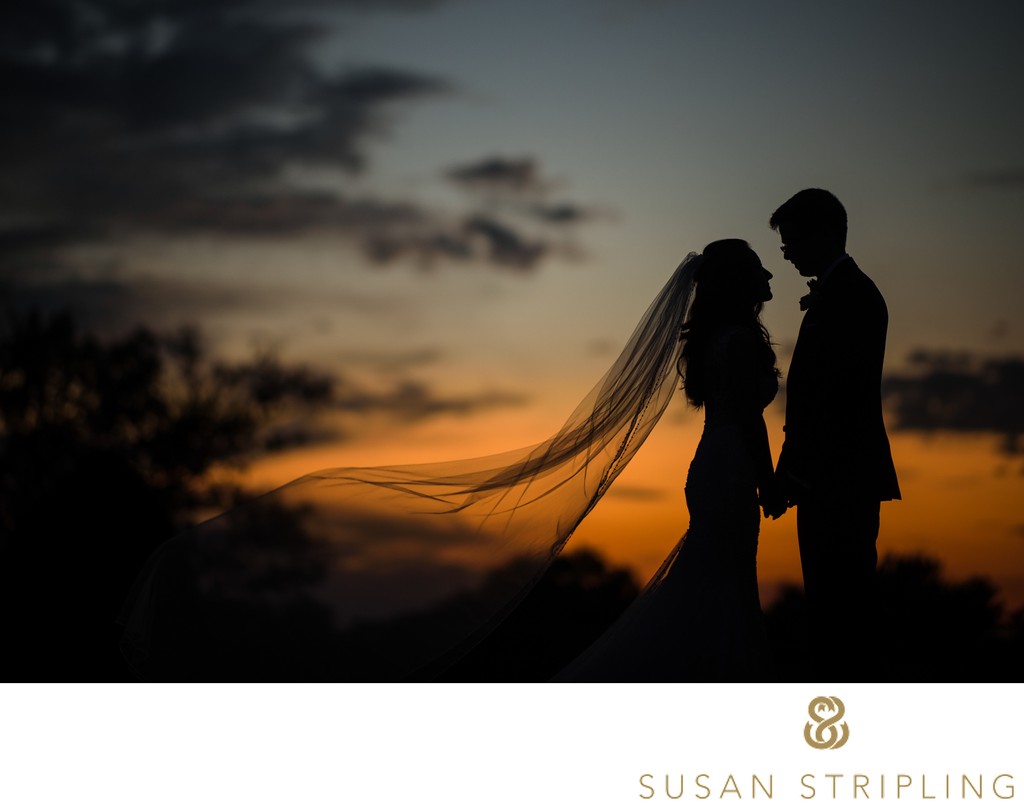 best wedding silhouette dramatic sunset