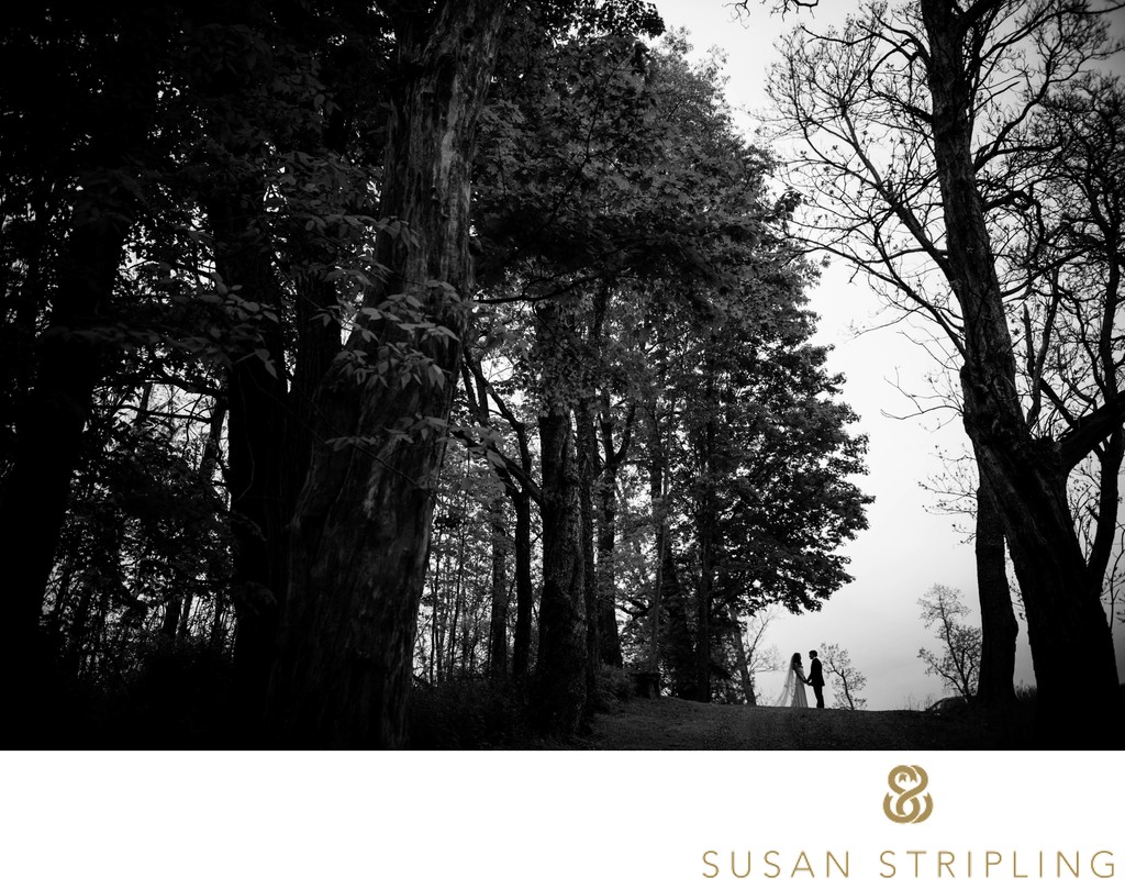 best wedding silhouette woods