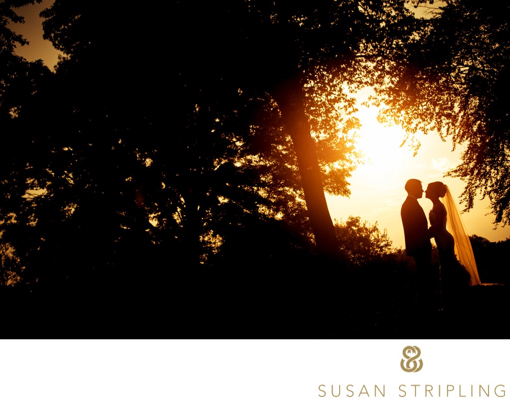 best wedding silhouette golden hour