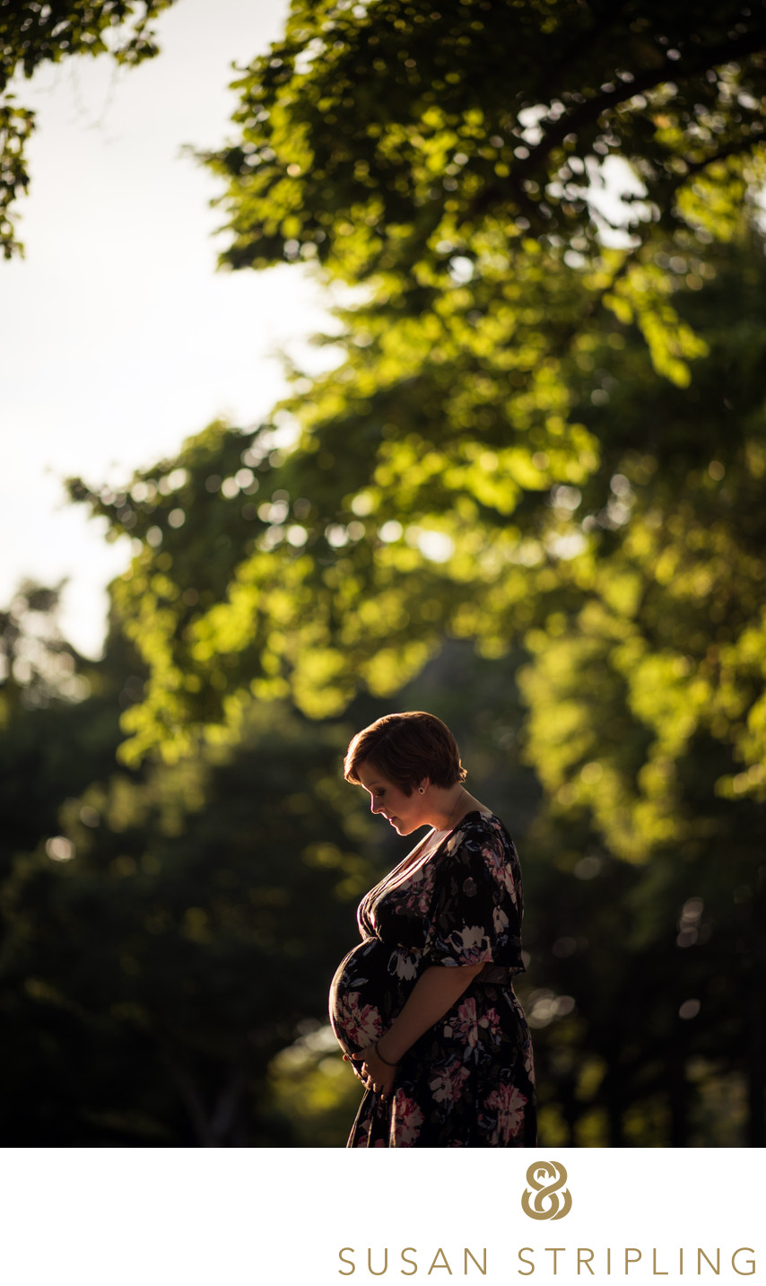 Maternity Photography in Central Park