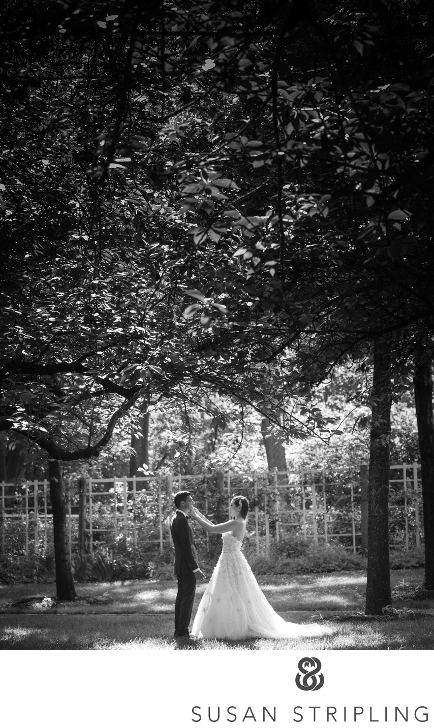 Brooklyn Botanical Garden Reviews
