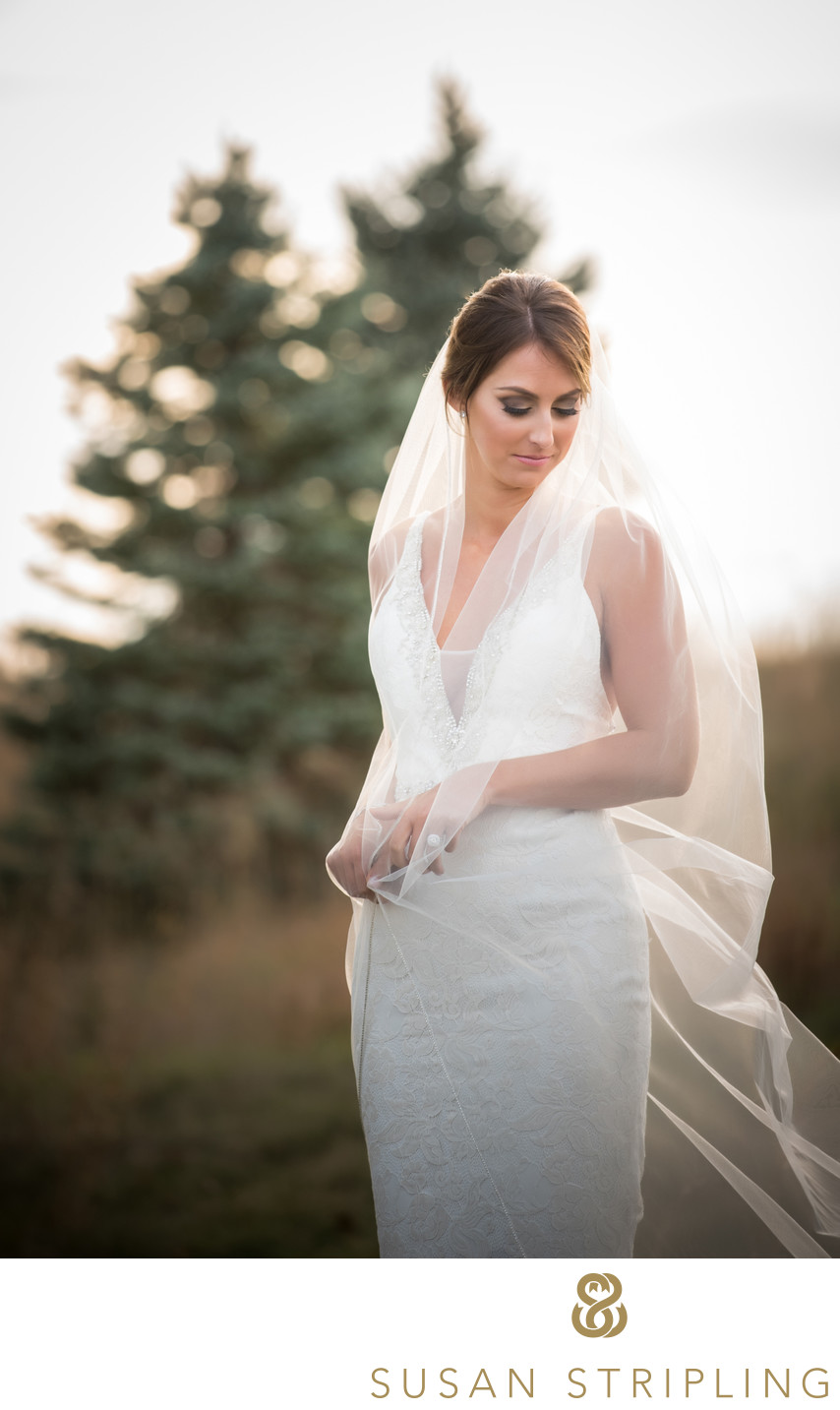 Chubb Conference Center The Knot