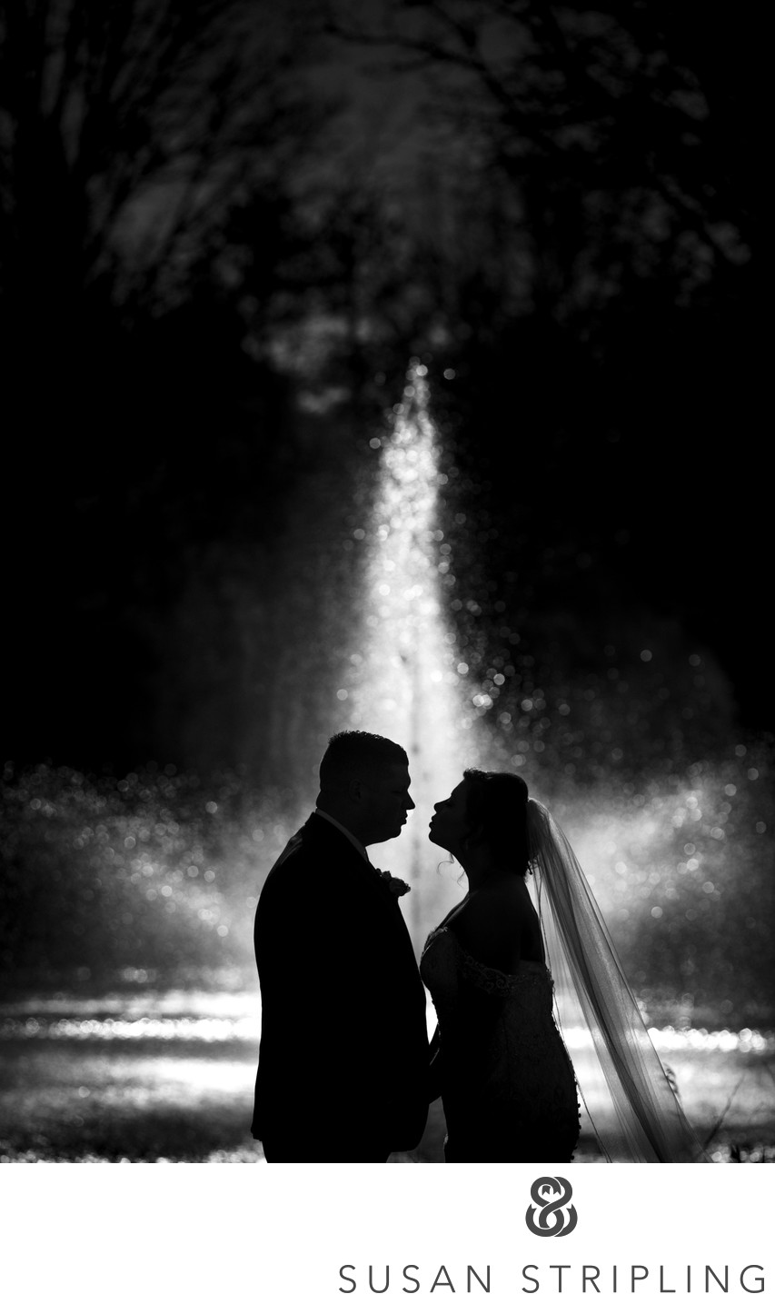 Park Chateau Estate and Gardens Wedding Photographer