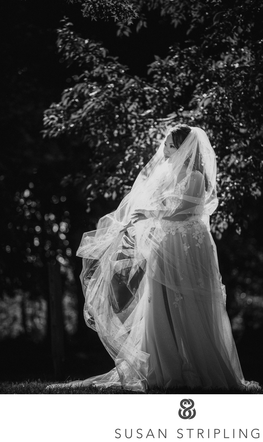 Whitby Castle Rye Wedding 2020