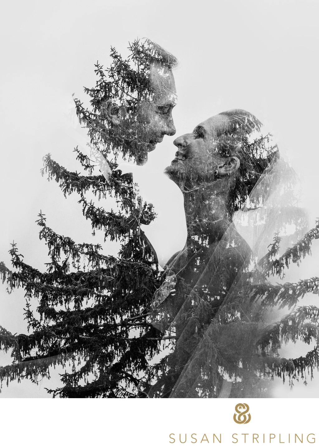 Double Exposure best wedding photographer