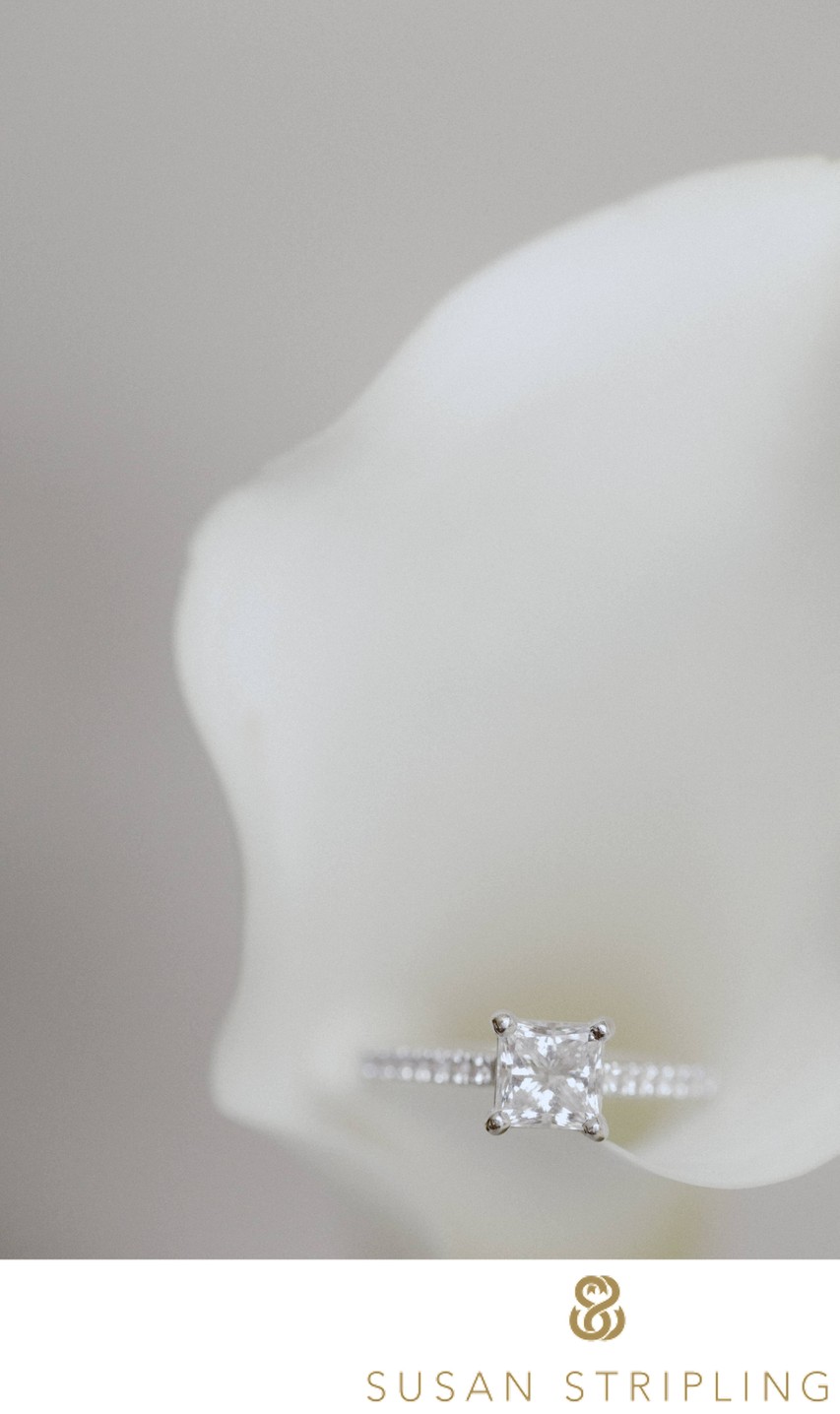 macro wedding photographers nyc