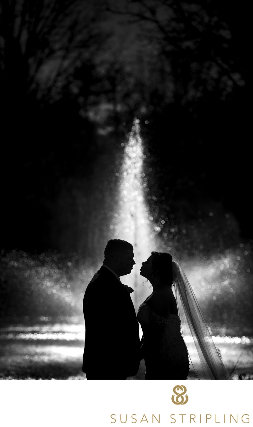 best wedding silhouette with water