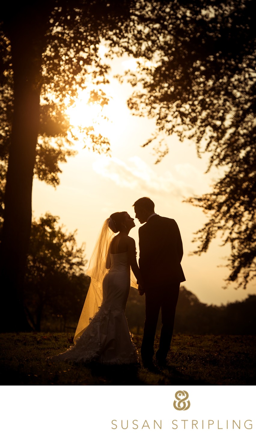 best wedding silhouette sunset photo