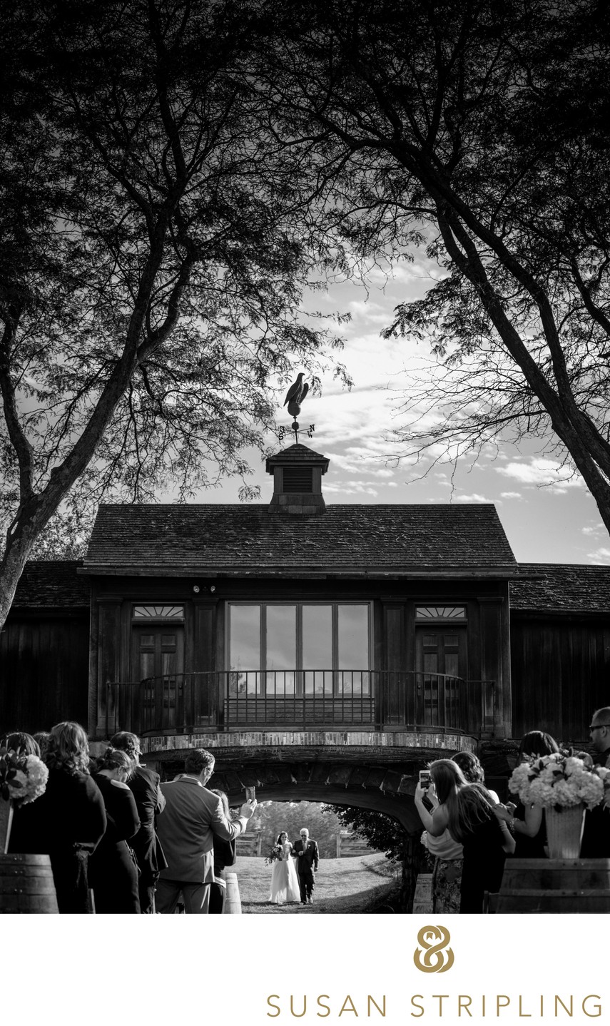 Vermont Photographer