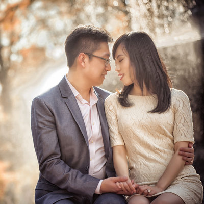 Engagement Photos in Central Park