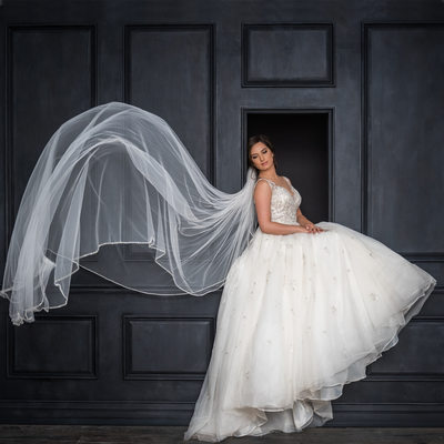 Bridal Portraits Brooklyn