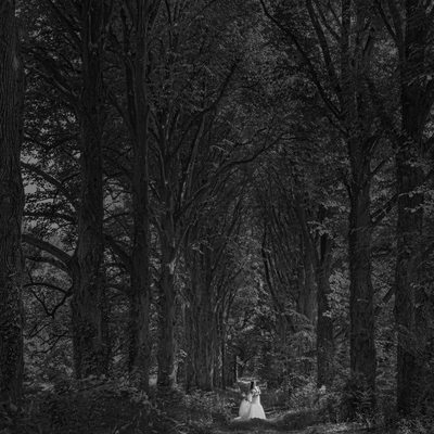 Old Westbury Gardens Wedding Photography