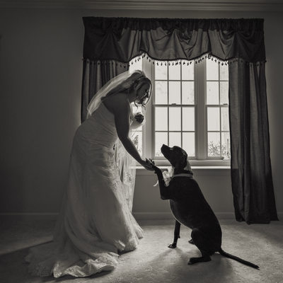 Philadelphia Marriot Wedding