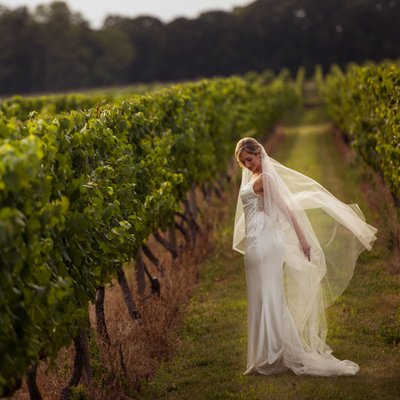 Bedell Cellars Wedding Photography