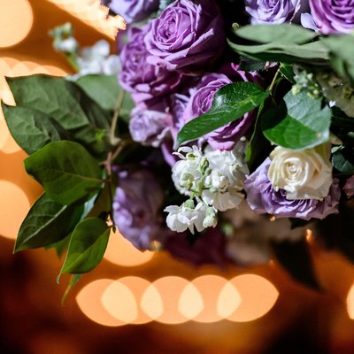 Recent Please Touch Museum Wedding