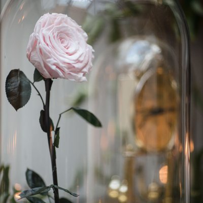 The Roundhouse Beacon Wedding Photography