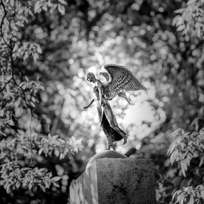 Green-Wood Cemetery Brooklyn New York