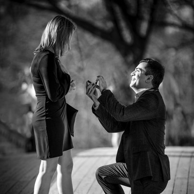 Best Proposal Photographer NYC