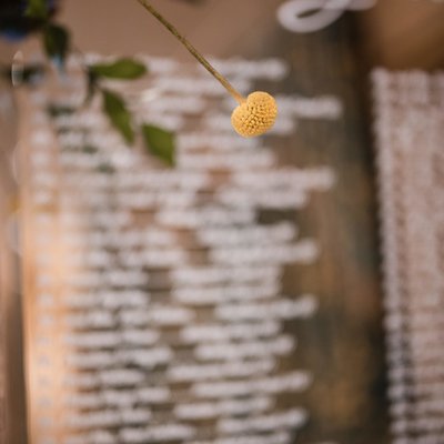 Hotel Du Pont wedding seating chart